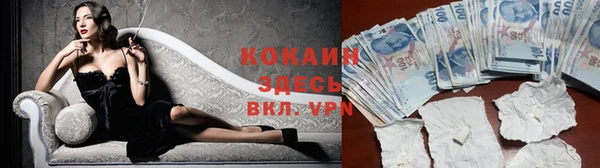 альфа пвп Новодвинск