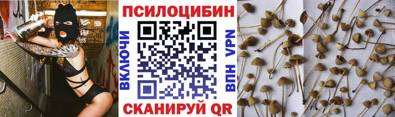 Псилоцибиновые грибы мицелий  купить  цена  гидра   Кашира 