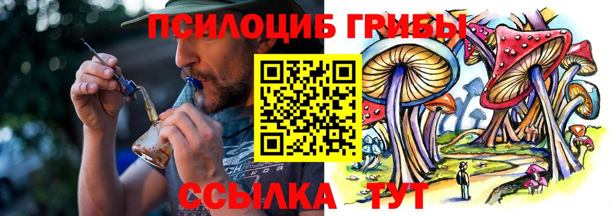 Галлюциногенные грибы мицелий Кашира