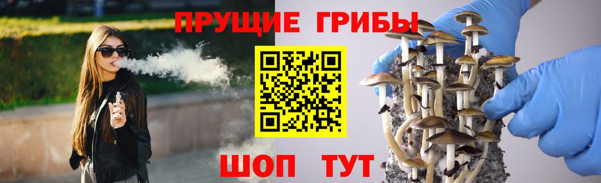 Галлюциногенные грибы Cubensis  где найти   Кашира  Галлюциногенные грибы Cubensis  Вход с VPN 